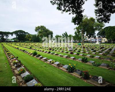 200901 -- KANCHANABURI THAILAND, 1. September 2020 -- Foto aufgenommen am 19. August 2020 zeigt den Kanchanaburi war Cemetery, wo etwa 7.000 Kriegsgefangene begraben wurden, in Kanchanaburi, Thailand. Während des Zweiten Weltkriegs zwangen die Japaner mehr als 60.000 alliierte Kriegsgefangene und fast 300.000 südostasiatische Arbeiter, eine 415 km lange Eisenbahn über die Berge und den Dschungel zwischen Thailand und Myanmar zu bauen. Zehntausende starben während des Baus und es wurde als Todeseisenbahn bekannt. Foto von /Xinhua TO GO WITH Feature: Thailand-Burma Death Railway -- Wir hoffen, dass die Menschen nie forg Stockfoto