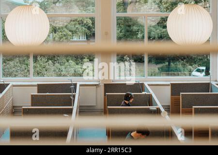 Hochwinkelansicht männlicher und weiblicher Studenten, die an der Universität in der Bibliothek studieren Stockfoto