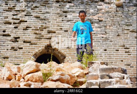 200906 -- TANGSHAN, 6. September 2020 -- Li Dewang patrouilliert die große Mauer Xuliukou im Dorf Xuliukou in der Stadt Qian an, Provinz Hebei in Nordchina, 4. September 2020. Li Dewang, 63, ist ein Dorfbewohner von Xuliukou, wo sich ein Teil der Chinesischen Mauer befindet, die aus der Ming-Dynastie von 1368 bis 1644 erbaut wurde. Seit 2008 ist der 63-Jährige ein Beschützer der Großen Mauer und er ist verantwortlich für den Schutz eines fast drei Kilometer langen Abschnitts. In den letzten 12 Jahren patrouillierte er fast täglich auf der Chinesischen Mauer, während er Müll und Unkraut beseitigte und Touristen und Hirten daran erinnerte, die Mauer zu erhalten. Stockfoto