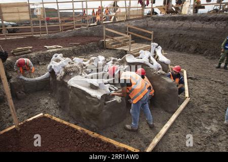 Bilder des Jahres 2020, News 09 September News Themen der Woche KW37 News Bilder des Tages 200911 -- MEXIKO-STADT, 11. September 2020 -- Archäologen graben Knochen von Mammutskeletten aus, die auf der Baustelle des neuen internationalen Flughafens Felipe Angeles in Mexiko-STADT, Mexiko, 10. September 2020 gefunden wurden. Foto von Ricardo Flores/Xinhua MEXIKO-MEXIKO STADT-MAMMOTH SKELETONS-ENTDECKUNG XinxYuewei PUBLICATIONxNOTxINxCHN Stockfoto