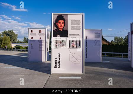 Markowa, Polen - September 2023, Ulma Family Museum of Poles Saving Jews in World war II, Geschichtstafel vor dem Gebäude, Ulmowie z Markowej, Stockfoto