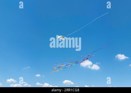 Kites gegen blau-weiß bewölkten Himmel bei der sogenannten Drachenwiese, Norddeich, Niedersachsen, Deutschland, Europa Stockfoto