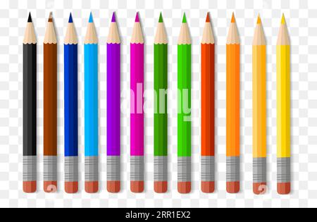 Ein Set aus Buntstiften in 12 Farben. Schulsachen, Schulsachen, Schreibwaren auf transparentem Hintergrund im eps10-Format. Zurück zur Schule Stock Vektor