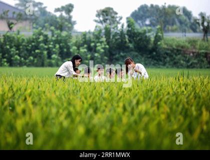 200922 -- PEKING, 22. September 2020 -- Kinder beobachten unter der Leitung ihrer Lehrer Reisohren während einer Veranstaltung, die vor dem Bauernerntfest in Changxing, der ostchinesischen Provinz Zhejiang, am 21. September 2020 stattfand. Das dritte chinesische Bauernerntefest findet am 22. September 2020 statt. XINHUA FOTOS DES TAGES XuxYu PUBLICATIONxNOTxINxCHN Stockfoto
