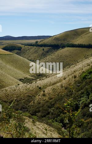 Malerische Landschaft von grünen Hügeln bedeckt mit Grün unter blauem Himmel mit Wolken im Ökologischen Reservat in Ecuador Stockfoto