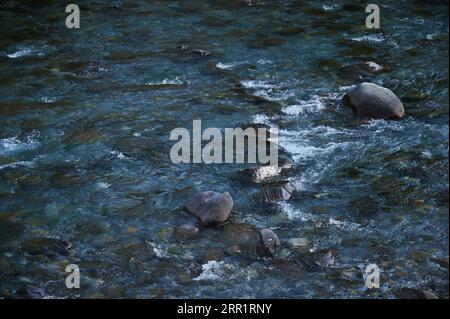 Malerische Landschaft mit Wasserfällen, die am Sommertag in den Fluss fließen, mit mehreren Steinen Stockfoto