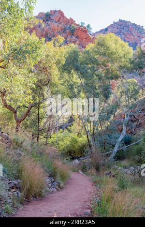 Der Weg nach Standley Chasm oder Angkerle Atwatye in Local Arrernte, einer 3 Meter breiten und 80 Meter hohen Schlucht in den West MacDonnell Ranges, NT, Australien Stockfoto