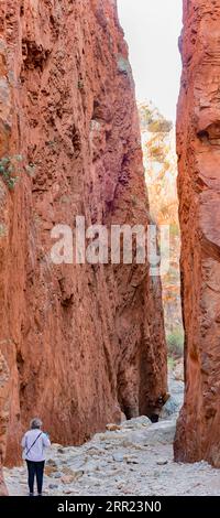 Standley Chasm oder Angkerle Atwatye, in der lokalen Arrernte-Sprache, ist eine 3 Meter breite und 80 Meter hohe Schlucht in den West MacDonnell Ranges, NT, Australien Stockfoto