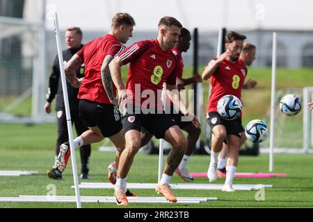 Cardiff, Großbritannien. September 2023. Aaron Ramsey aus Wales während des Fußballtrainings in Hensol, Vale of Glamorgan in South Wales am Mittwoch, den 6. September 2023. pic by Andrew Orchard/Andrew Orchard Sports Photography/Alamy Live News Credit: Andrew Orchard Sports Photography/Alamy Live News Stockfoto