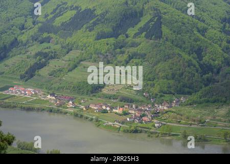 Blick von der roten Mauer auf das Dorf Schwallenbach an der Donau, Rossatz-Arnsdorf, Niederösterreich, Österreich Stockfoto