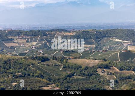 Blick auf die Langhe-Roero-Hügel und Weinberge in Piemont mit den Alpen im Hintergrund. Italien Stockfoto