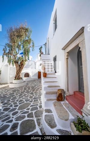 Weiße Kykladen mit Blumentöpfen, malerische Gassen von Naoussa, Paros, Kykladen, Griechenland Stockfoto