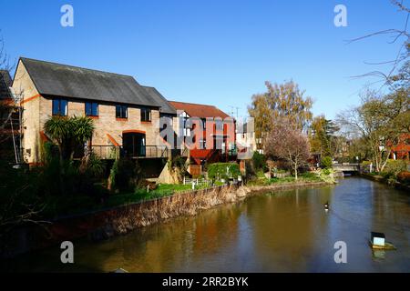 Häuser neben der Themse auf Heron Island, Caversham, Berkshire, England Stockfoto