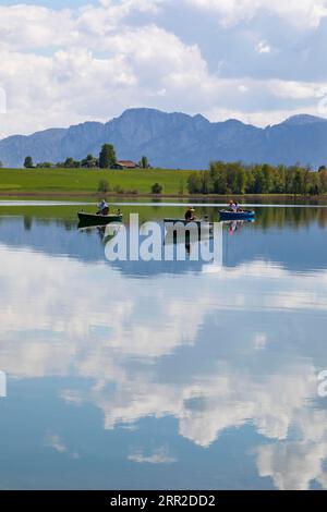 Fischerboote auf dem Irrsee, Zell am Moos, Salzkammergut, Oberösterreich, Österreich Stockfoto