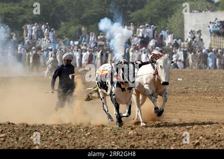 201012 -- RAWALPINDI, 12. Oktober 2020 -- Ein pakistanischer Bauer führt seine Stiere, während er am 12. Oktober 2020 in einem traditionellen Stierrennen am Rande von Rawalpindi in der östlichen Provinz Punjab teilnimmt. PAKISTAN-RAWALPINDI-BULL-RACE AhmadxKamal PUBLICATIONxNOTxINxCHN Stockfoto