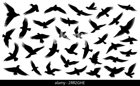 Silhouetten von fliegenden Vögeln in flachem Stil auf weißem Hintergrund. Vektorillustration Stock Vektor