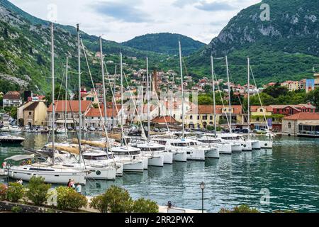 Yachten und Boote legen in Kotar Marina neben der Altstadt von Kotor in Montenegro an Stockfoto