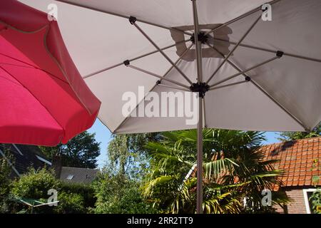 Unter zwei Sonnenschirmen, Sonnenschirme in einem niederländischen Garten an einem sonnigen Tag. Spätsommer September, Niederlande. Stockfoto