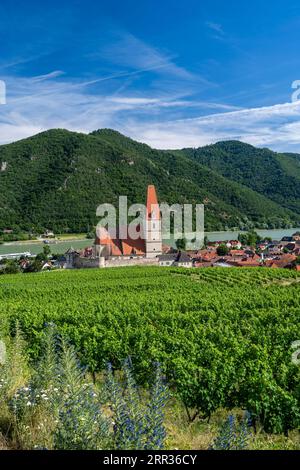Weissenkirchen in der Wachau, Niederösterreich, Österreich Stockfoto