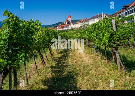 Weissenkirchen in der Wachau, Niederösterreich, Österreich Stockfoto