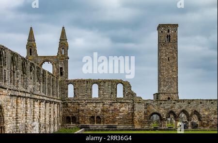 St. Andrews Cathedral Ruins, Fife, Schottland, Großbritannien Stockfoto