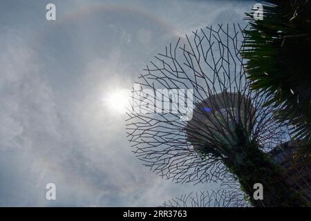 201025 -- SINGAPUR, 25. Oktober 2020 -- am 25. Oktober 2020 taucht Ein Sonnenhals am Himmel über Singapurs Gärten an der Bucht auf. Foto von /Xinhua SINGAPORE-SUN HALO-VIEW ThenxChihxWey PUBLICATIONxNOTxINxCHN Stockfoto