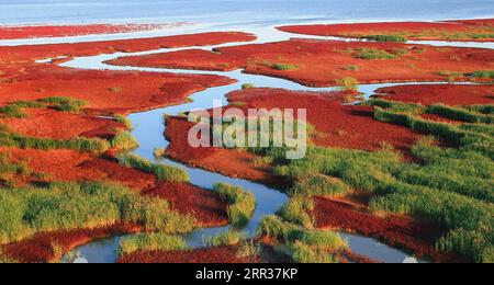 201026 -- PEKING, 26. Oktober 2020 -- Luftaufnahme aufgenommen am 2. August 2017 zeigt das malerische Gebiet Red Beach in Panjin, nordöstliche Provinz Liaoning. ZU Factbox: Höhepunkte des Klimaschutzes Chinas über fünf Jahre CHINA-13. FÜNFJAHRESPLAN-GRÜNE ENTWICKLUNG CN xinhua PUBLICATIONxNOTxINxCHN Stockfoto