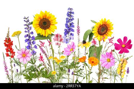 Bunte Sommerblumen mit transparentem Hintergrund Stockfoto