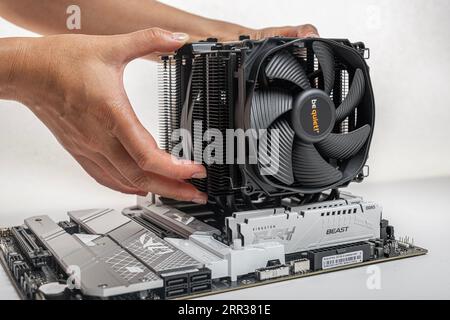 Installieren eines BE Quiet CPU-Kühlers Dark Rock Pro 4 auf der Hauptplatine. Stockfoto
