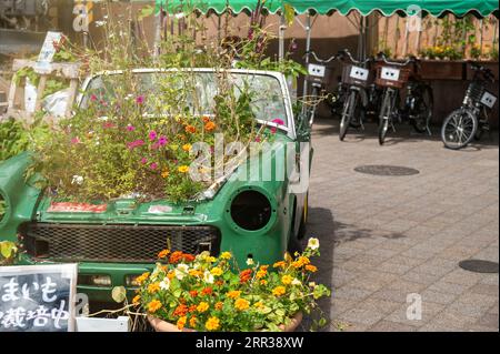 Blumenhof auf einem recycelten Auto für umweltfreundliches Konzept. Gartenarbeit auf einem Schrottauto für Recyclingidee. Stockfoto