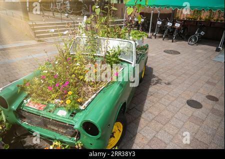 Blumenhof auf einem recycelten Auto für umweltfreundliches Konzept. Gartenarbeit auf einem Schrottauto für Recyclingidee. Stockfoto