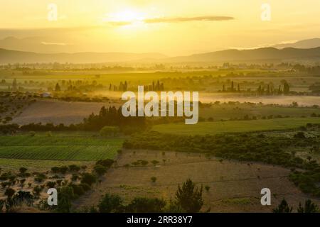 In den Feldern und Bauernhöfen an Region del Maule im südlichen Chile Dawn Stockfoto