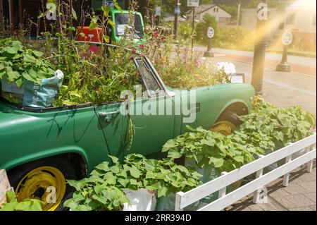 Blumenhof auf einem recycelten Auto für umweltfreundliches Konzept. Gartenarbeit auf einem Schrottauto für Recyclingidee. Stockfoto