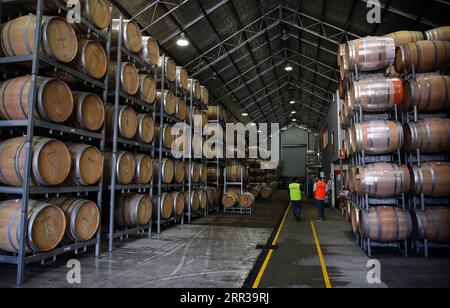 201028 -- SYDNEY, 28. Oktober 2020 -- Foto aufgenommen am 23. Oktober 2020 zeigt First Creek Factory in Hunter Valley, New South Wales, Australien. DER AUSTRALISCHE Winzer tobt trotz des schwierigen Jahres des AUSTRALISCHEN WEINHERSTELLERS BaixXuefei PUBLICATIONxNOTxINxCHN Erfolg Stockfoto