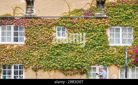 Ivy Clad Wall am Trinity College, University of Oxford, England. Stockfoto