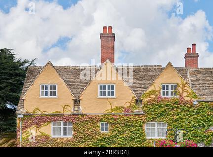 Ivy Clad Wall am Trinity College, University of Oxford, England. Stockfoto