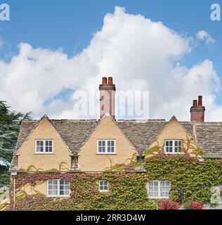 Ivy Clad Wall am Trinity College, University of Oxford, England. Stockfoto