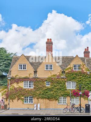 Ivy Clad Wall am Trinity College, University of Oxford, England. Stockfoto