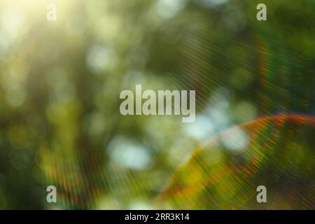 Streulicht von einem legendären Vintage-Objektiv mit Bokeh-Kugeln und Sonnenlicht. Schöne Natur und Jahreszeit Hintergrund Stockfoto