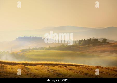 Beeindruckendes Panorama Italienische Landschaft, Blick mit Zypressen, Weinbergen und Bauernfeldern. Toskana, Italien Stockfoto