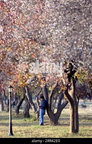 201118 -- ISLAMABAD, 18. November 2020 -- Ein Mann genießt seine Freizeit im Fatima Jinnah Park in Islamabad, Hauptstadt von Pakistan, 17. November 2020. PAKISTAN-ISLAMABAD-HERBSTLANDSCHAFT AhmadxKamal PUBLICATIONxNOTxINxCHN Stockfoto