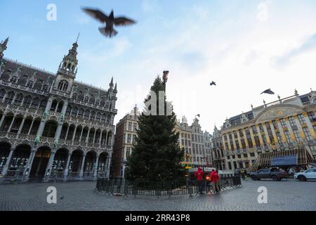 201119 -- BRÜSSEL, 19. November 2020 -- Ein Weihnachtsbaum wird am Grand Place von Brüssel, Belgien, am 19. November 2020 installiert. Der diesjährige Weihnachtsbaum ist 18 m hoch und wird mit dem Thema Erneuerung dekoriert. BELGIEN-BRÜSSEL-WEIHNACHTSBAUM ZhengxHuansong PUBLICATIONxNOTxINxCHN Stockfoto