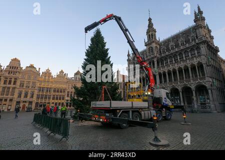 201119 -- BRÜSSEL, 19. November 2020 -- Arbeiter installieren einen Weihnachtsbaum am Grand Place von Brüssel, Belgien, 19. November 2020. Der diesjährige Weihnachtsbaum ist 18 m hoch und wird mit dem Thema Erneuerung dekoriert. BELGIEN-BRÜSSEL-WEIHNACHTSBAUM ZhengxHuansong PUBLICATIONxNOTxINxCHN Stockfoto