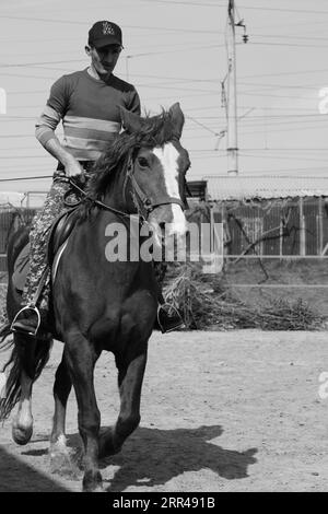 Diese Bilder wurden in einem der seligsten Tierkerne Jerewans aufgenommen. Es gibt ein prächtigstes und süßeste Pferd, das du je gesehen hast. Stockfoto