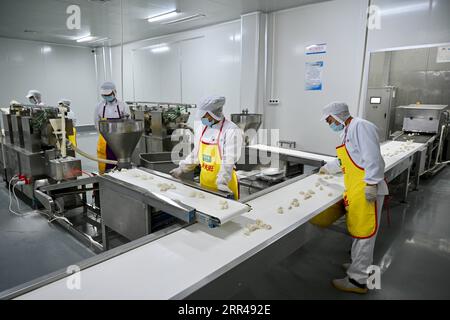 201125 -- SHAXIAN, 25. November 2020 -- Arbeiter produzieren gefrorene Knödel im Shaxian Snacks Industrial Park in Sanming City, südöstliche chinesische Provinz Fujian, 18. November 2020. Nudeln gekocht in Knochensuppe serviert mit Erdnussbutter, und Wontons gefüllt mit saftigem Fleisch in einer prickelnden Suppe -- das sind die Shaxian Delikatessen, die durch die Straßen von China gefegt haben. Shaxian Delikatessen aus dem Shaxian County in der Provinz Fujian sind in den letzten Jahrzehnten in China bekannt geworden. Derzeit werden neben der Anwendung von automatischen Maschinen auch Halbzeuge von t vertrieben Stockfoto