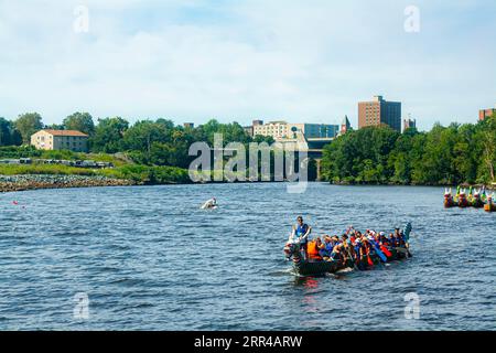 Rhode Island Chinese Dragon Boat Races und Taiwan Day Festival Stockfoto