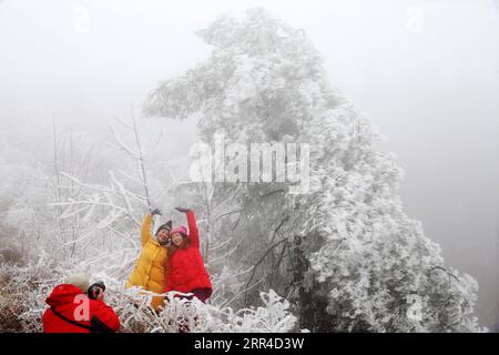 201130 -- PEKING, 30. November 2020 -- Touristen machen Fotos mit frostbedeckten Bäumen im QIANJIANG National Forest Park in Chongqing, Südwestchina, 28. November 2020. Foto von /Xinhua XINHUA FOTOS DES TAGES YangxMin PUBLICATIONxNOTxINxCHN Stockfoto