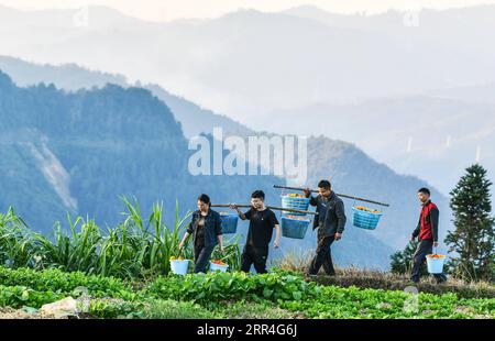 201203 -- PEKING, 3. Dez. 2020 -- die Armutshilfeassistenten Liu Ying 1. L und He Changle 2. L sowie die Dorfbediensteten helfen, Melonen zu tragen, die von Dorfbewohnern im Dorf Dongqin, Congjiang County, Provinz Guizhou im Südwesten Chinas, am 11. November 2020 gepflanzt wurden. Xinhua Schlagzeilen: XI kündigt großen Sieg in der Armutsbekämpfung YangxWenbin PUBLICATIONxNOTxINxCHN an Stockfoto