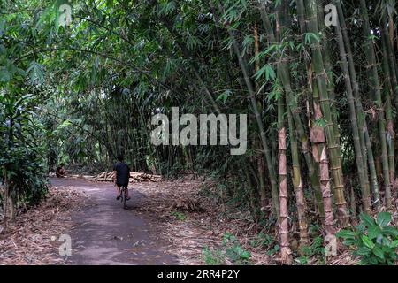 201210 -- RUMPIN, 10. Dezember 2020 -- Anwohner werden im Rumpin Village in Bogor Regency der Provinz West Java, Indonesien, 10. Dezember 2020 gesehen. Das als Bambusdorf bekannte Rumpin Village ist einer der Lieferanten von Bambus für die Gebiete Jakarta, Bogor und Tangerang. INDONESIEN-BOGOR-BAMBUS-DORF VerixSanovri PUBLICATIONxNOTxINxCHN Stockfoto