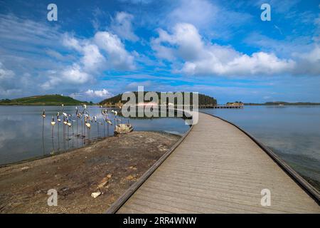 Historische Stätte auf der Insel Zvernec in der Lagune von Narta mit dem Kloster Zvernec, das der Heiligen Maria gewidmet ist. Das Hotel liegt in der Nähe der Stadt Vlora ON Stockfoto